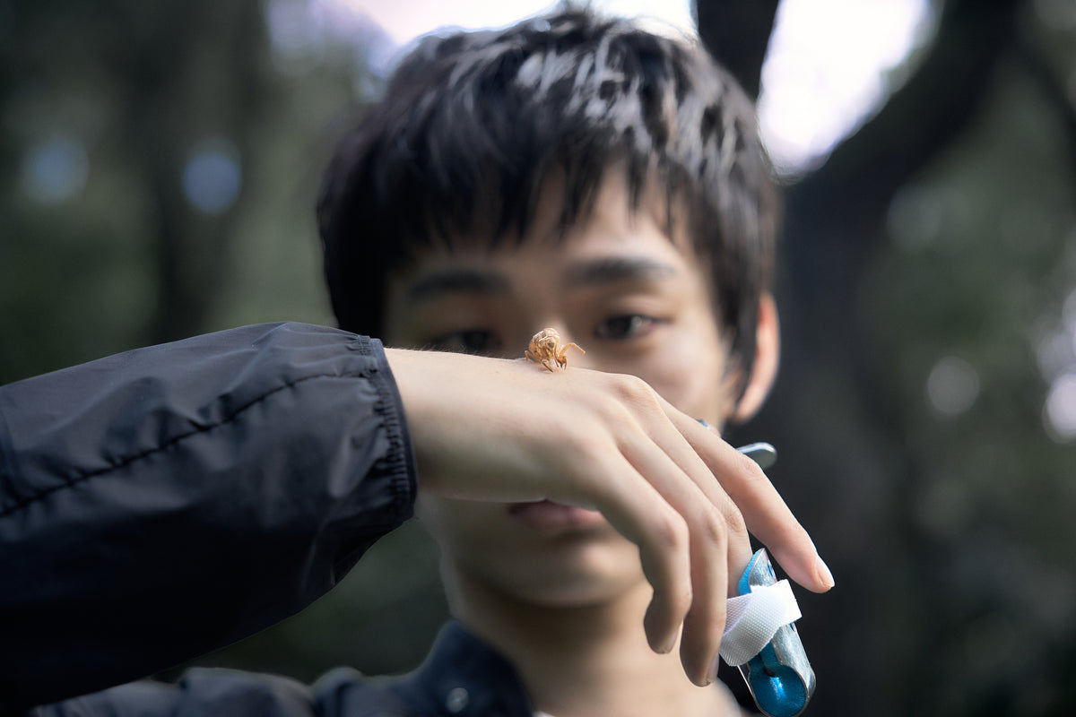 SAN SAN GEAR X NOTHING